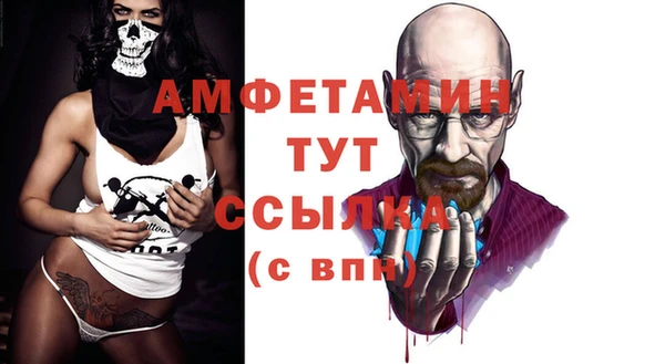 Альфа ПВП Аркадак