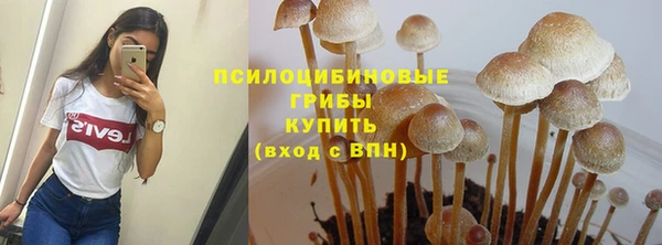 прущая мука Армянск
