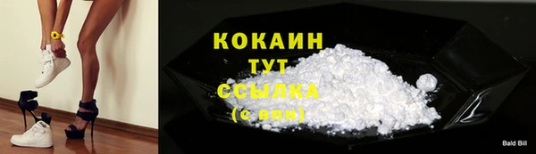 амф Арсеньев