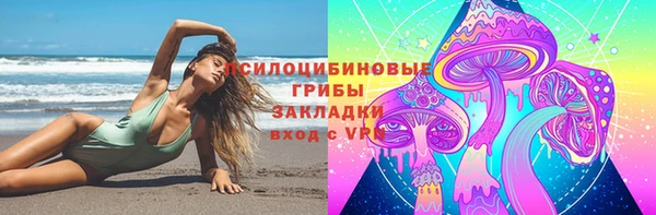 прущая мука Армянск