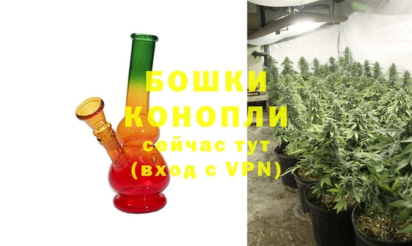 Альфа ПВП Аркадак