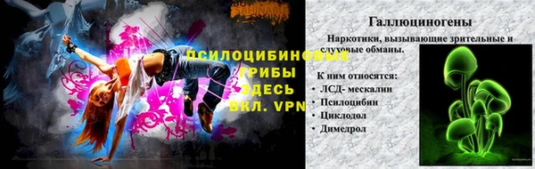 амф Арсеньев